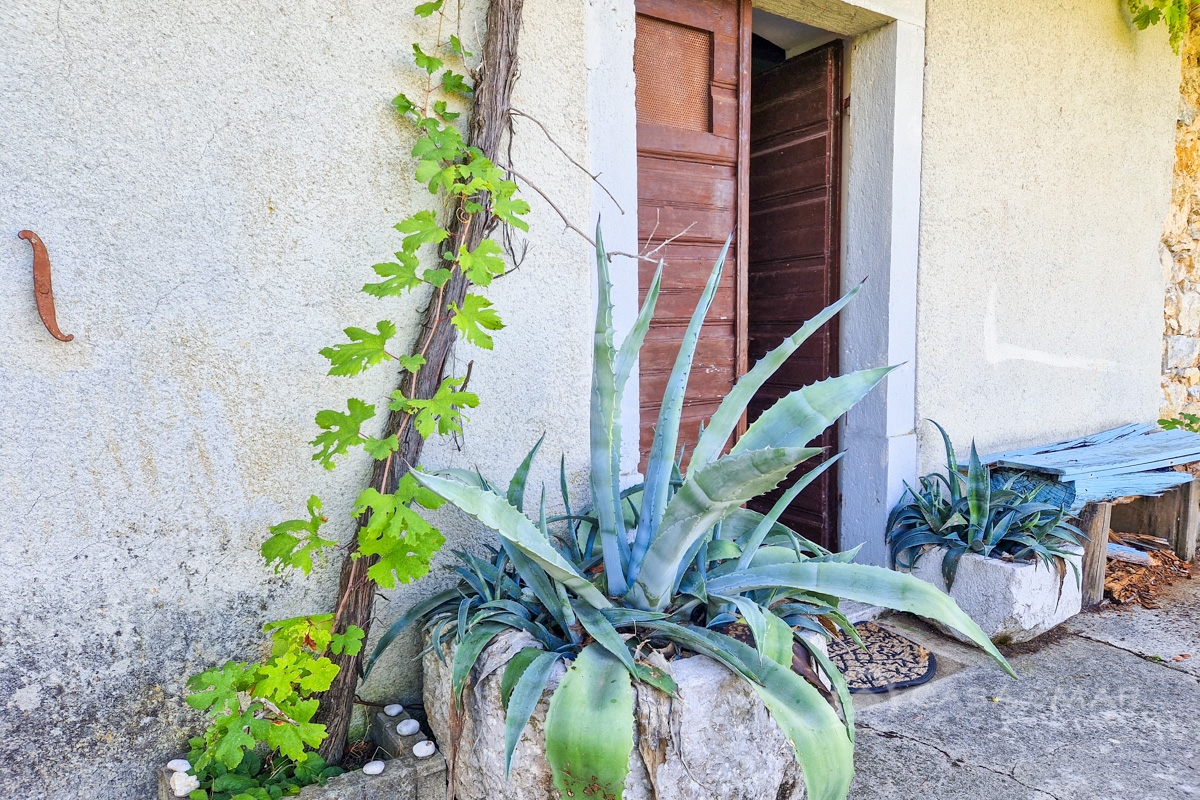 image 18