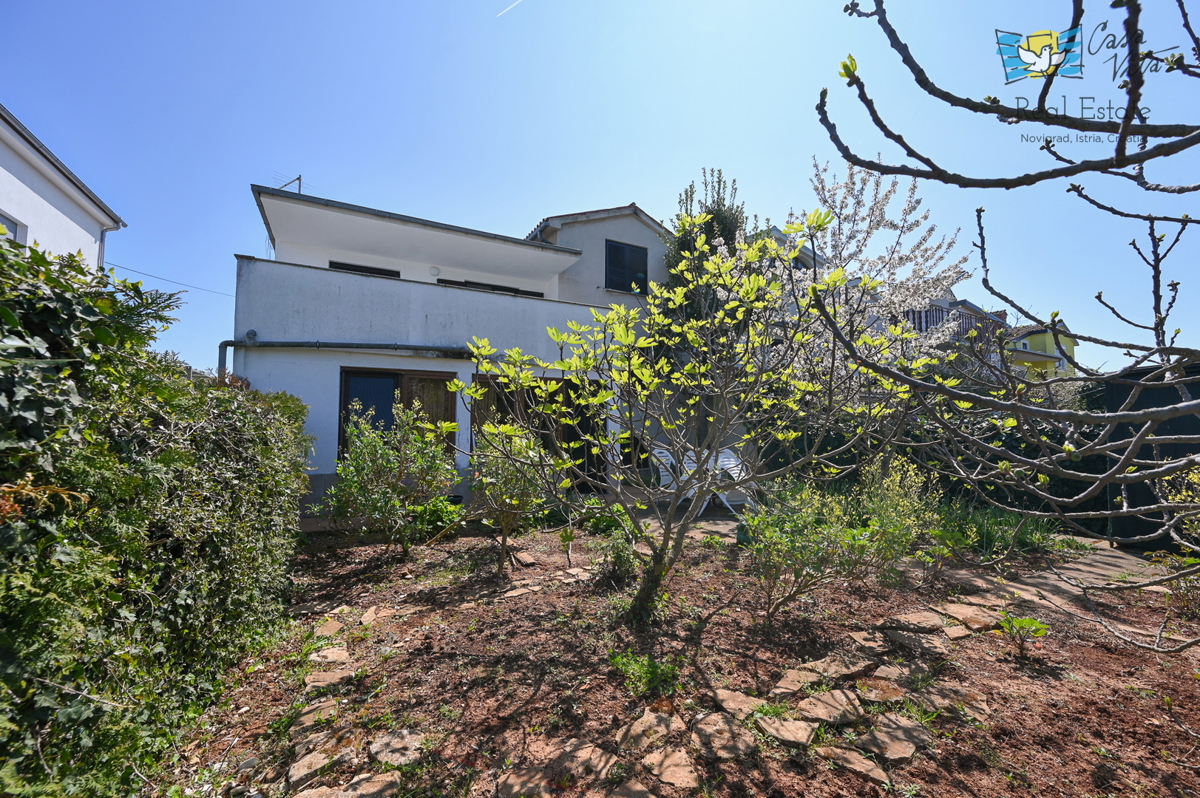 image 25