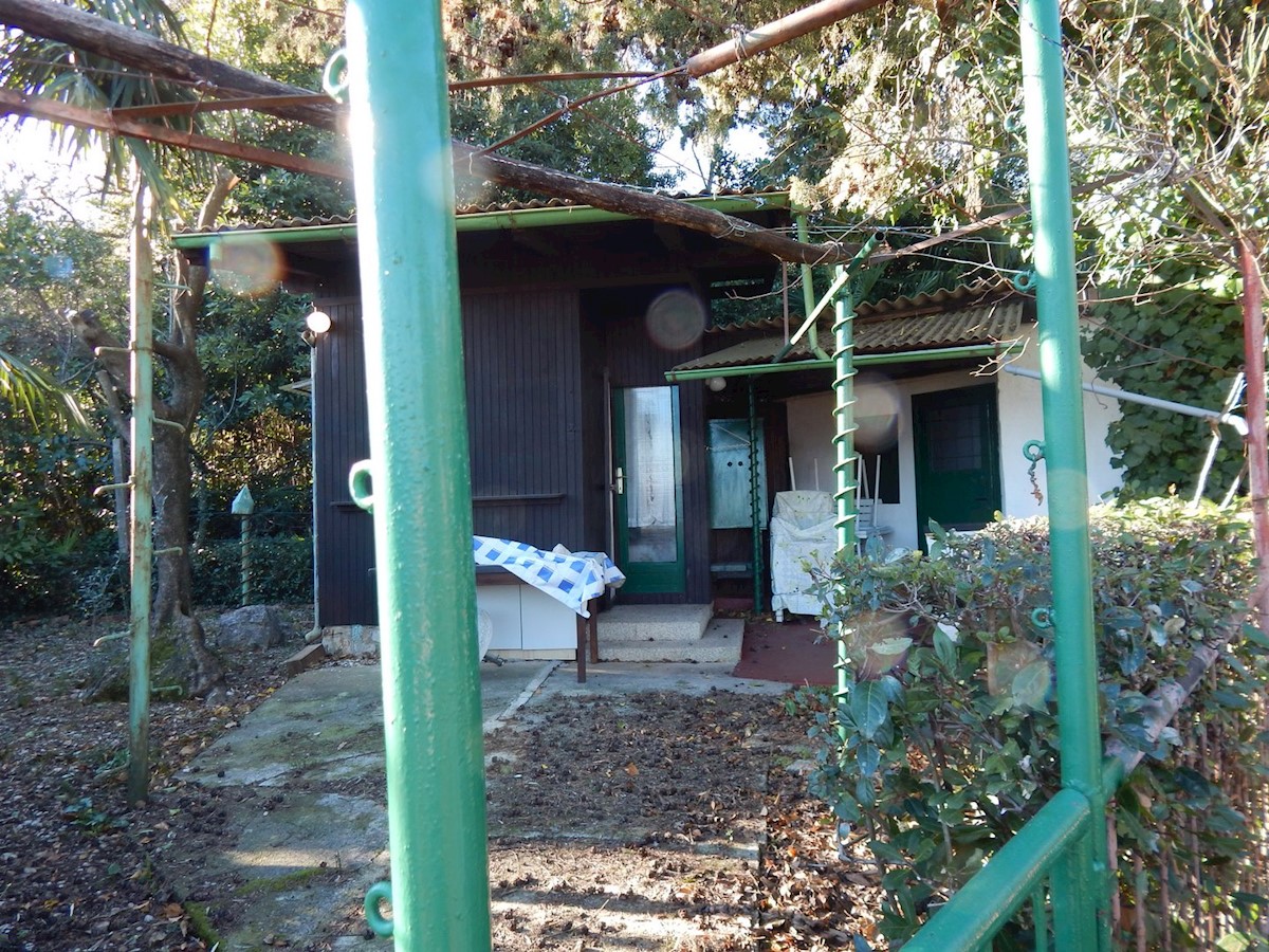 MEDVEJA
