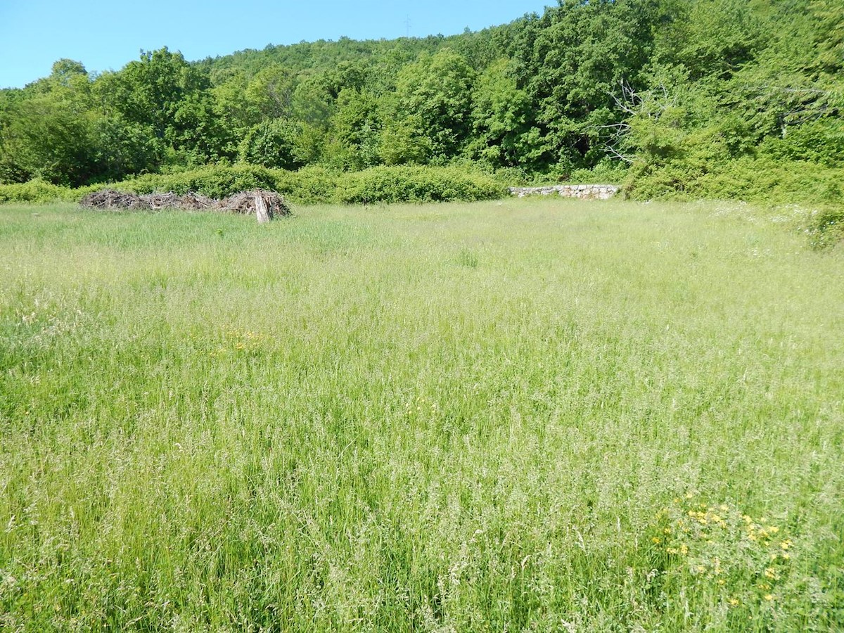 POBRI
