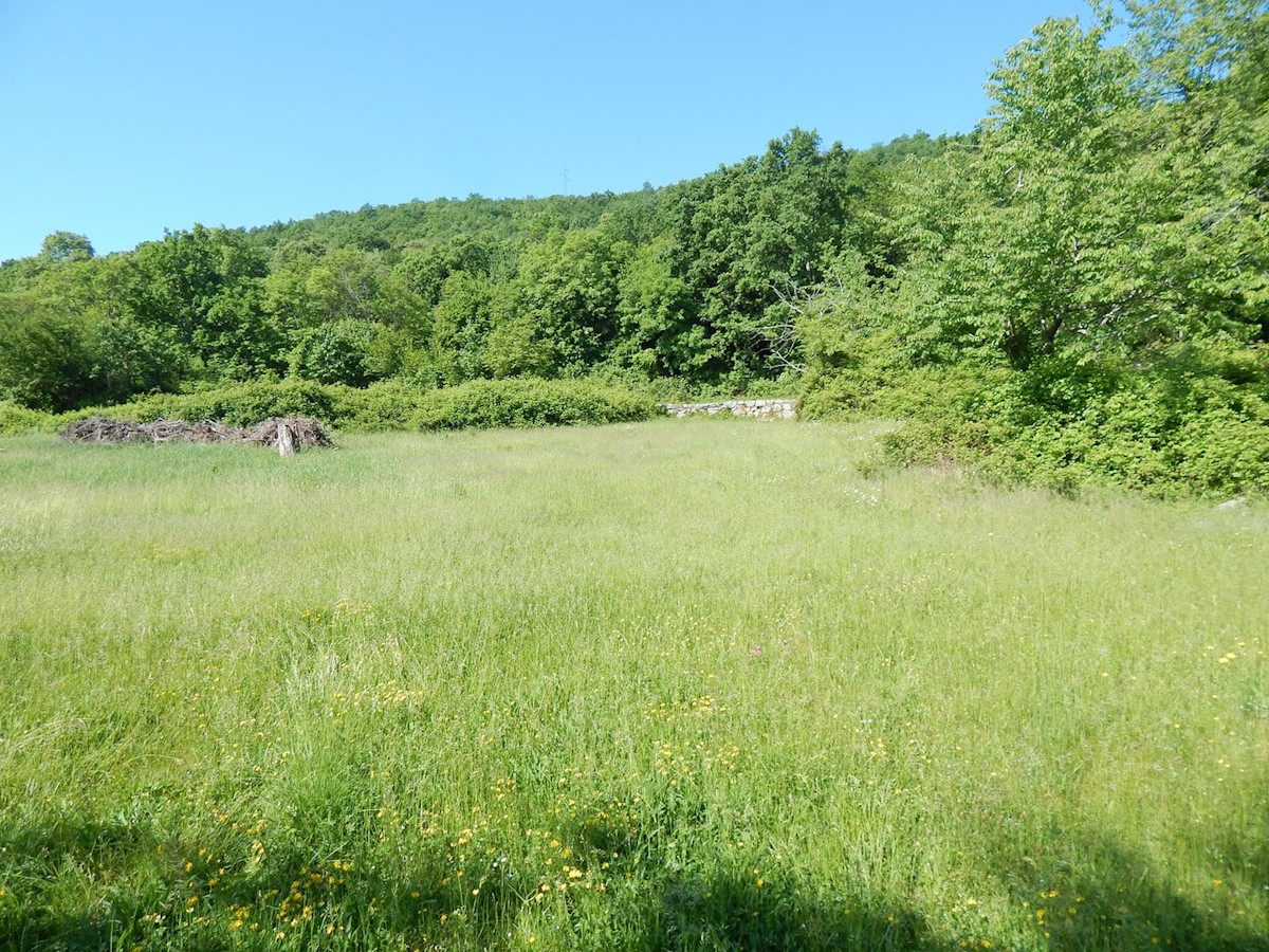 POBRI