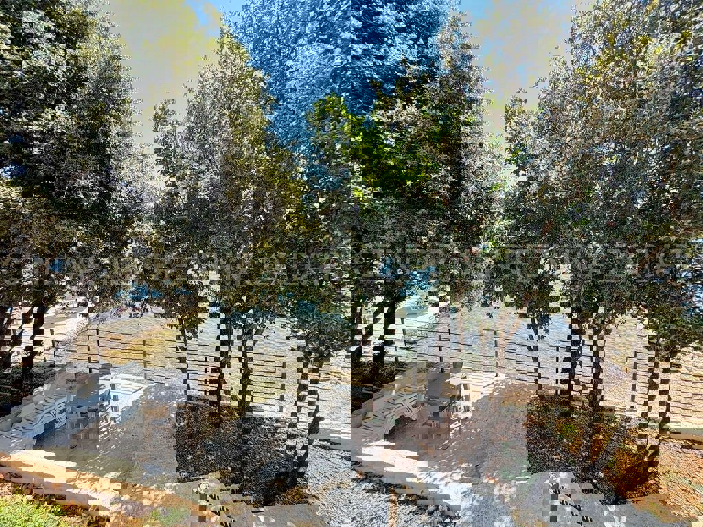 POSEDARJE