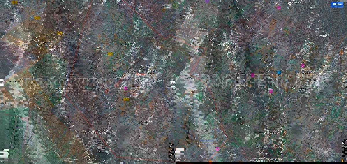NIN