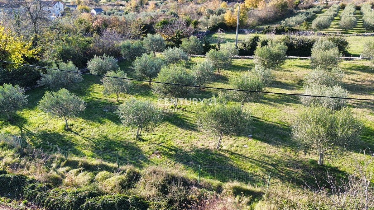 SVETI LOVREČ PAZENATIČKI