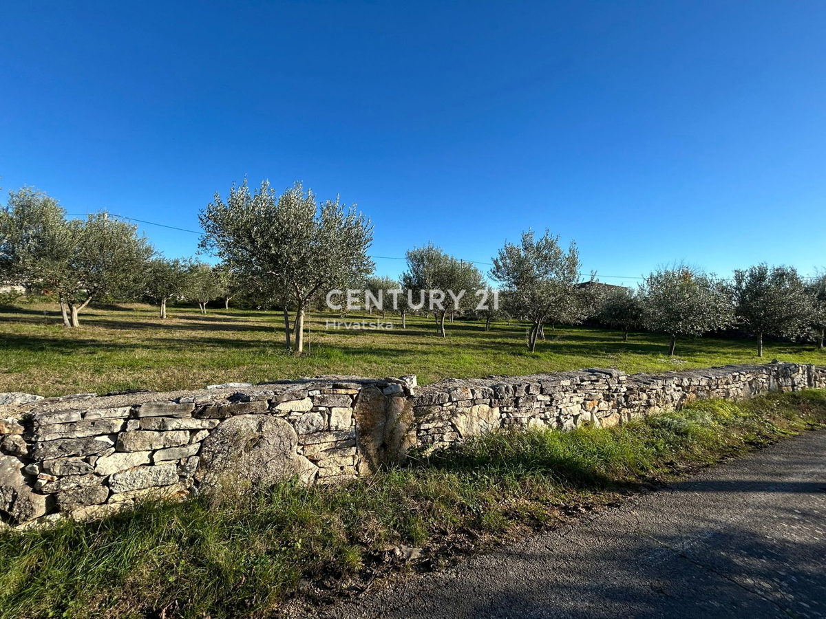 SVETI LOVREČ PAZENATIČKI