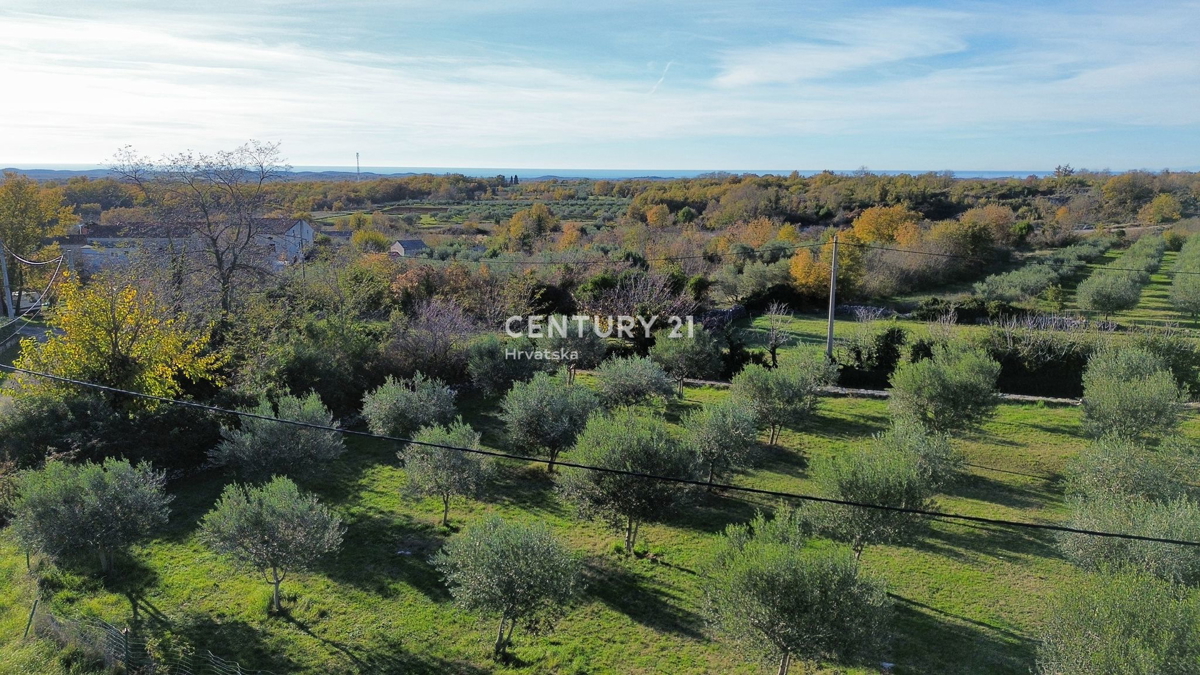 SVETI LOVREČ PAZENATIČKI