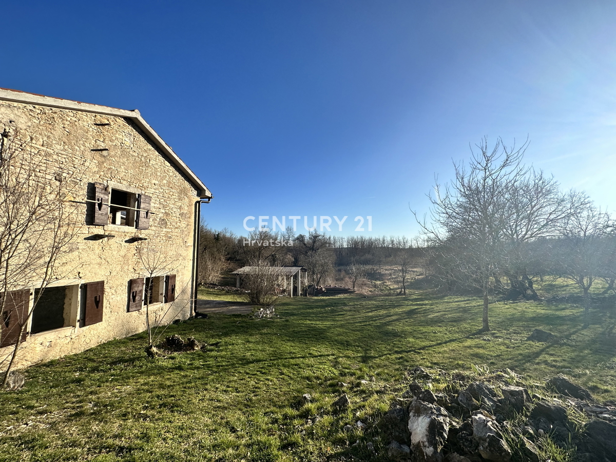 PAZIN