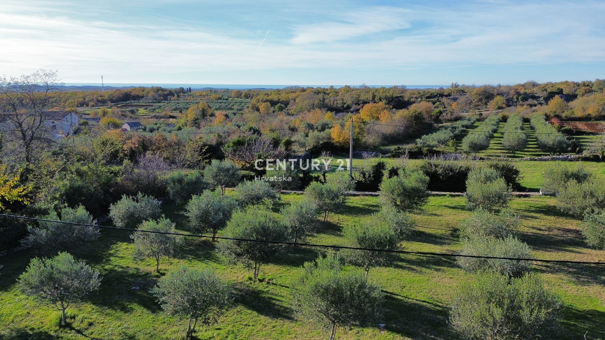 Terreno SVETI LOVREČ, 125.000 €