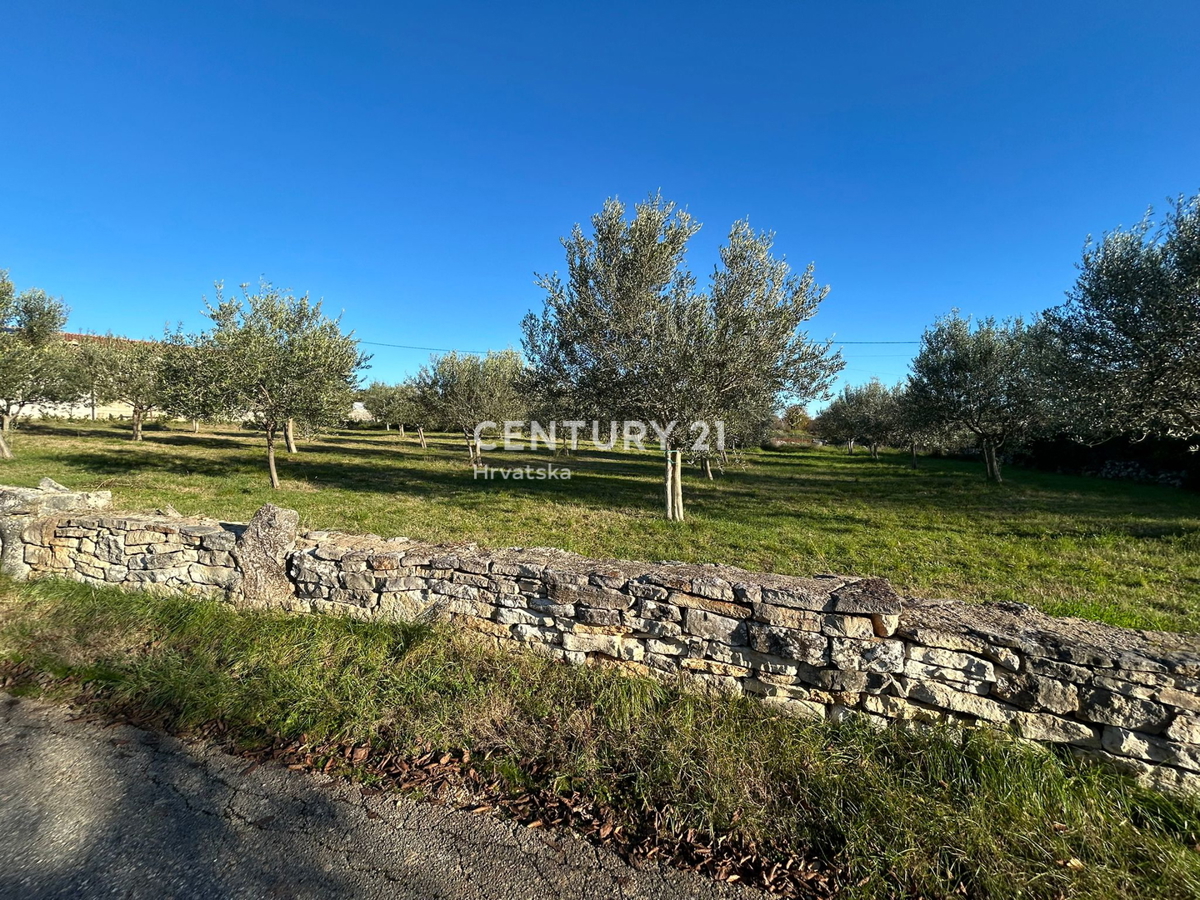 SVETI LOVREČ PAZENATIČKI