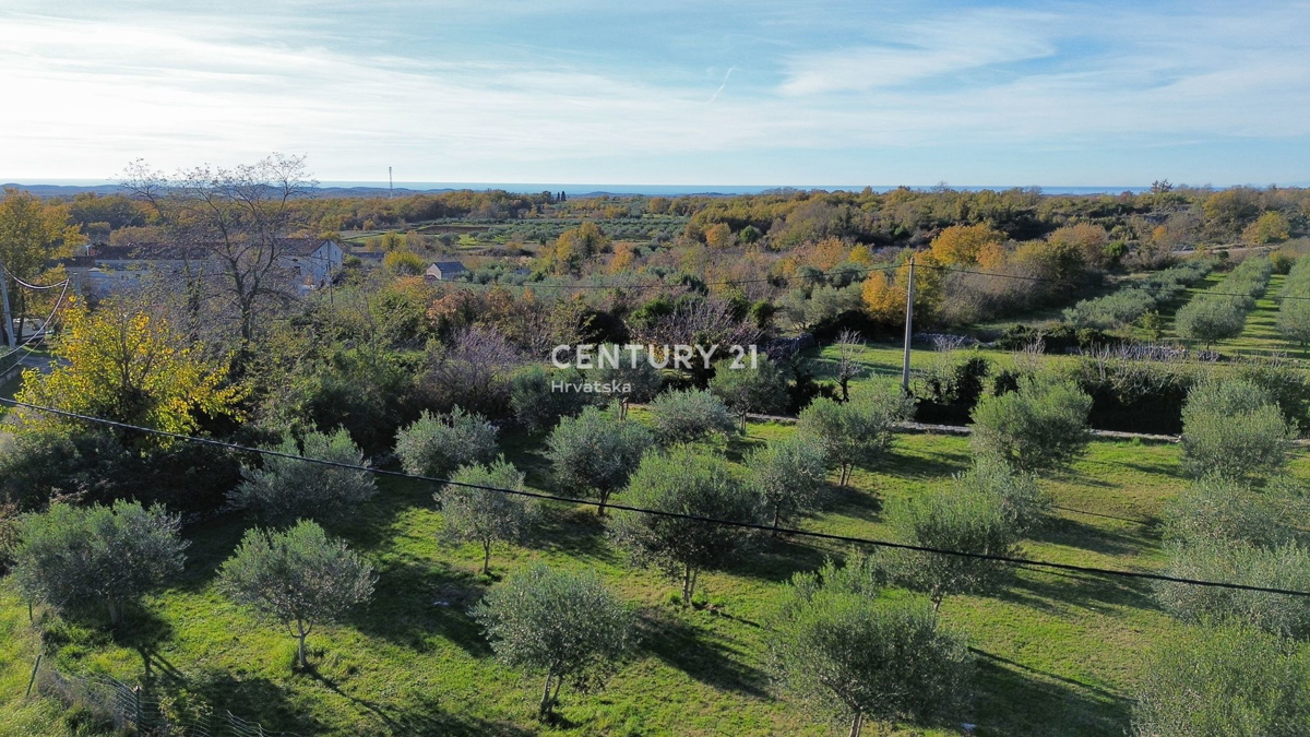 SVETI LOVREČ PAZENATIČKI