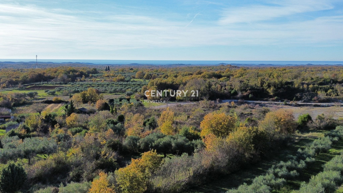 SVETI LOVREČ PAZENATIČKI