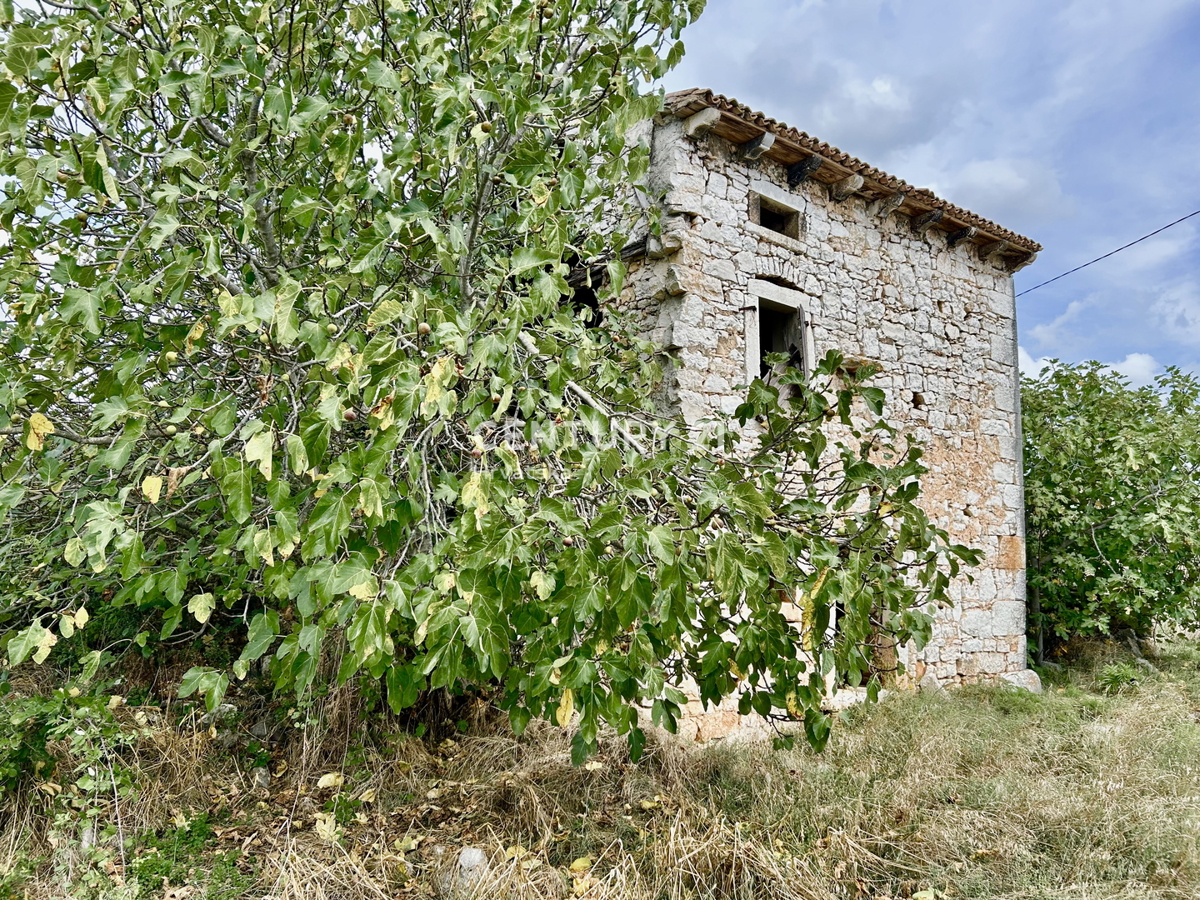 VRSAR