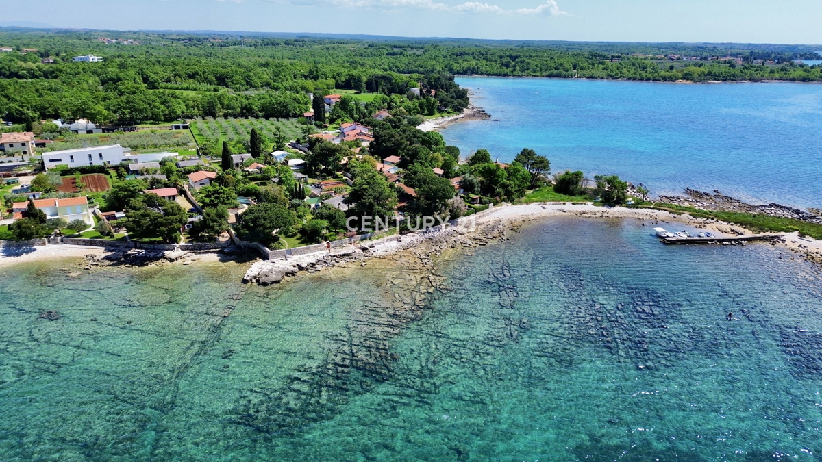 UMAG