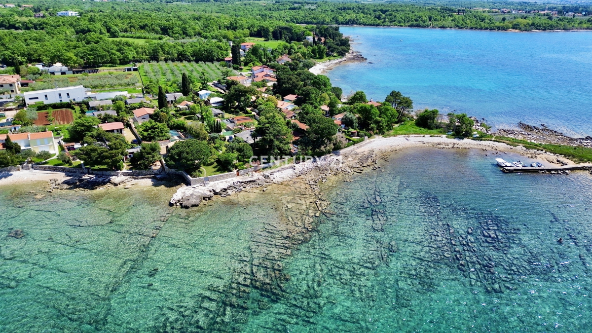 UMAG