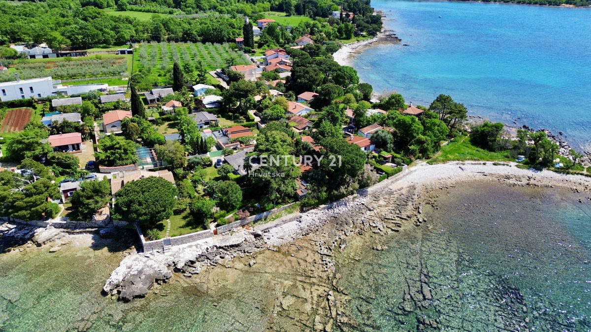 UMAG