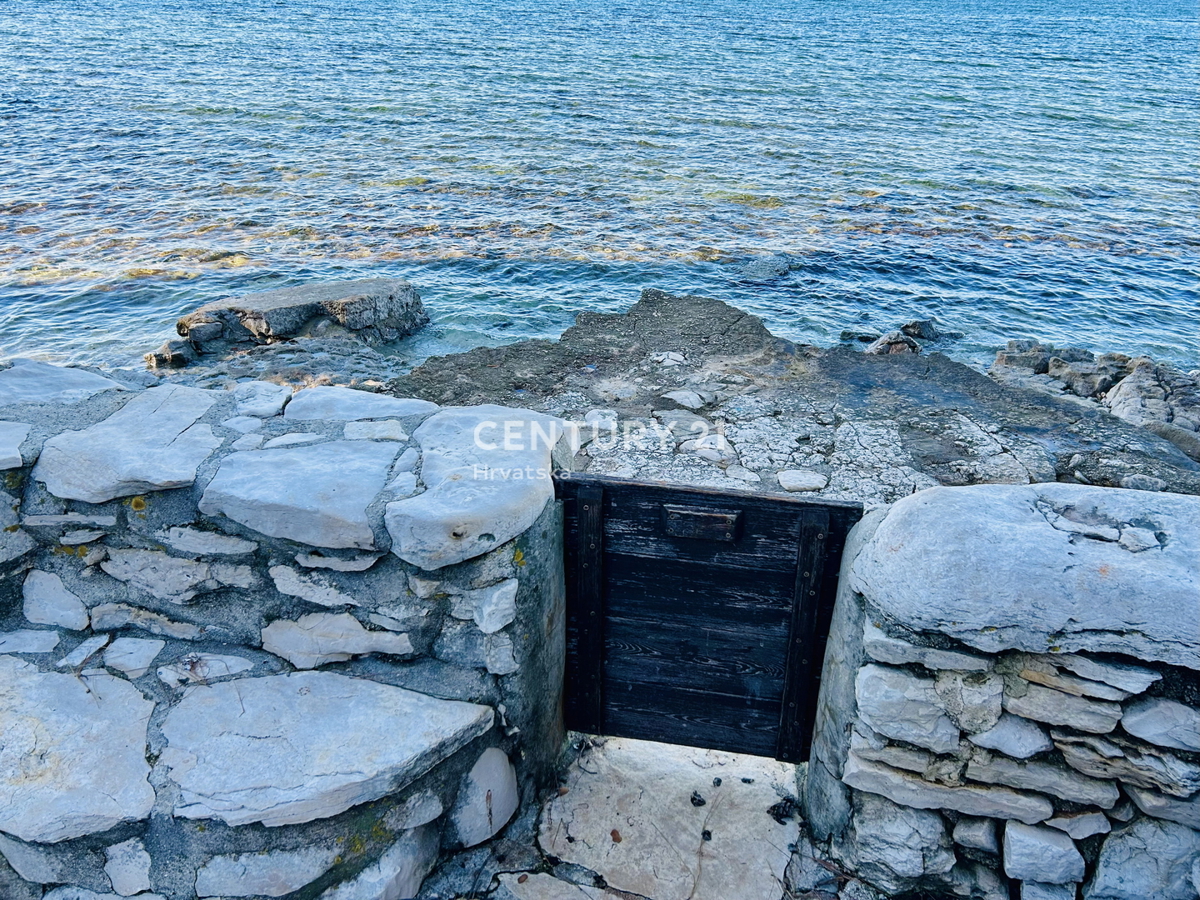 UMAG