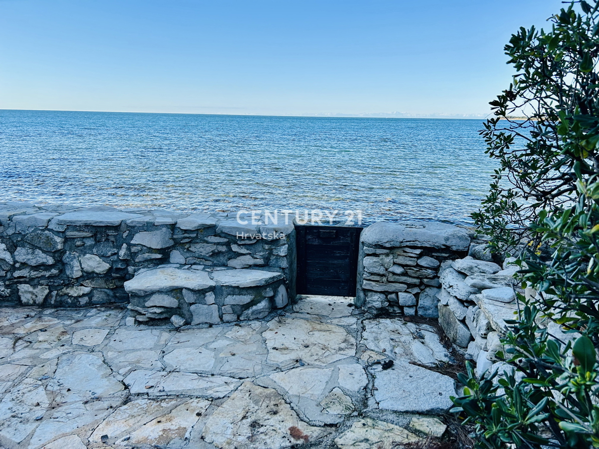 UMAG