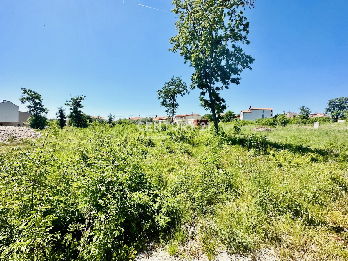 KRNICA