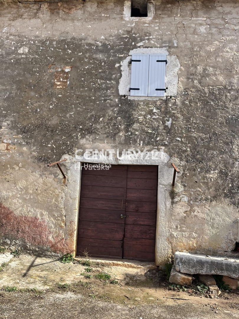 image 13