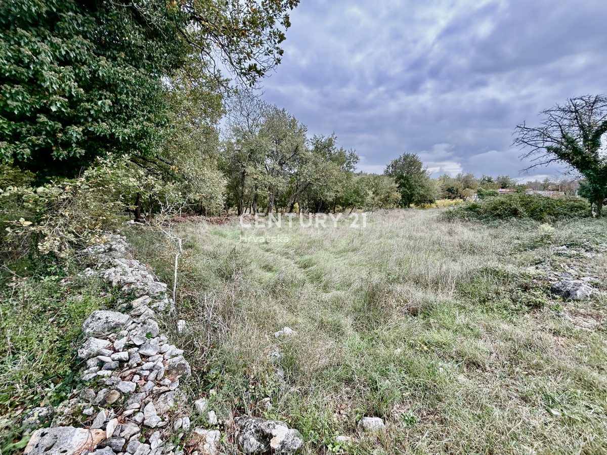 SVETI LOVREČ PAZENATIČKI