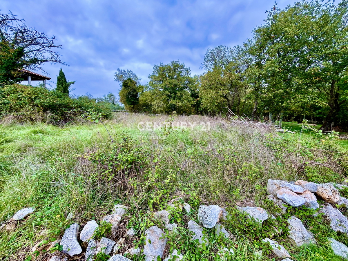 SVETI LOVREČ PAZENATIČKI