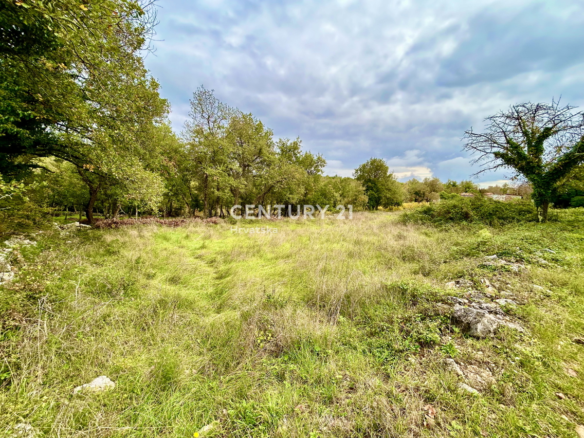 SVETI LOVREČ PAZENATIČKI