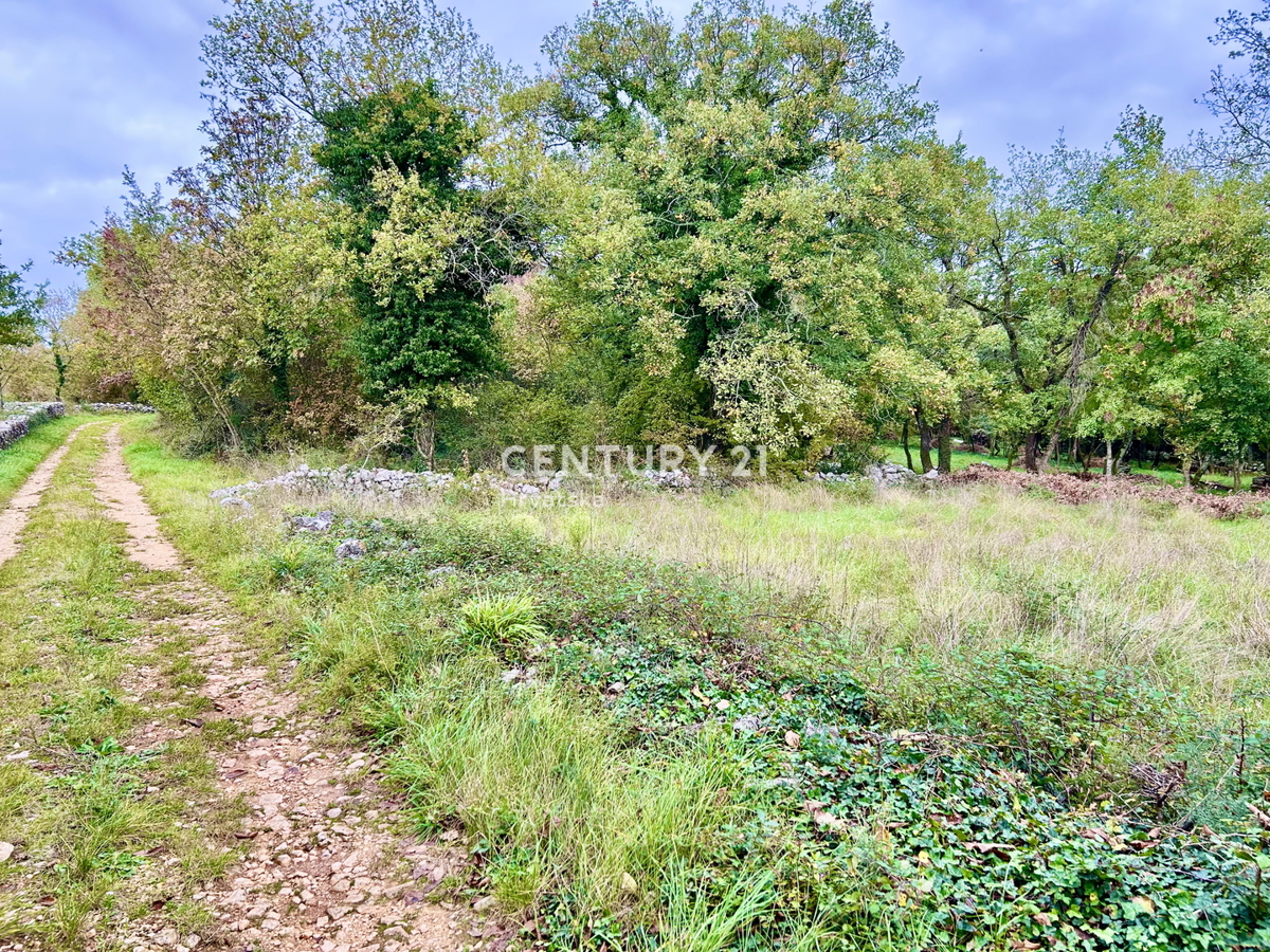 SVETI LOVREČ PAZENATIČKI