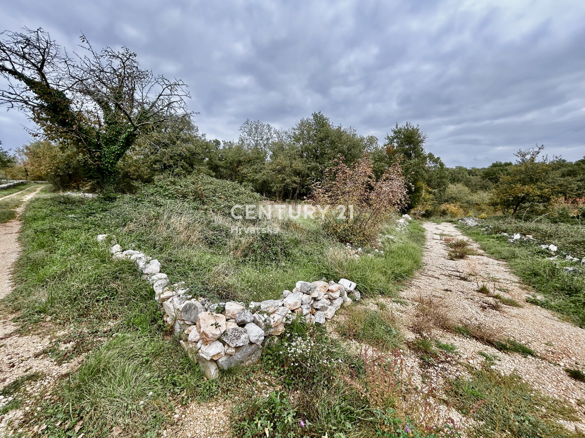 SVETI LOVREČ PAZENATIČKI