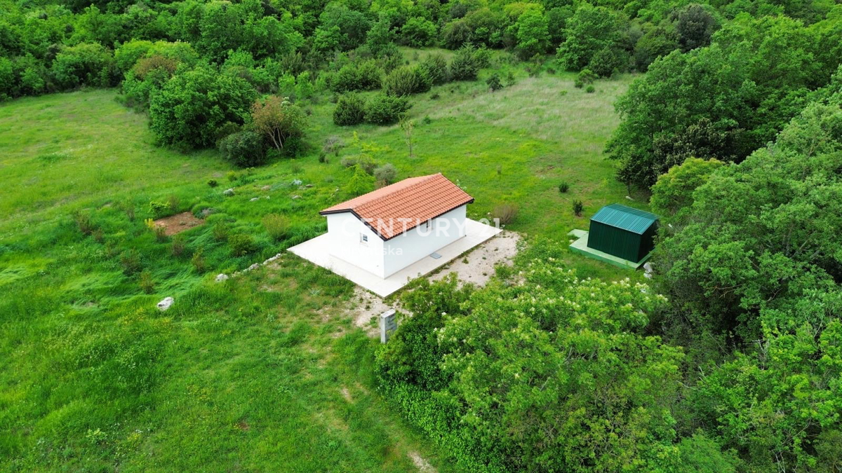 image 23
