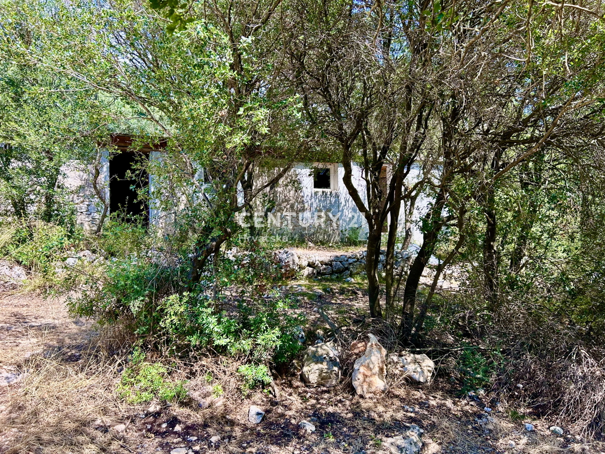 image 13