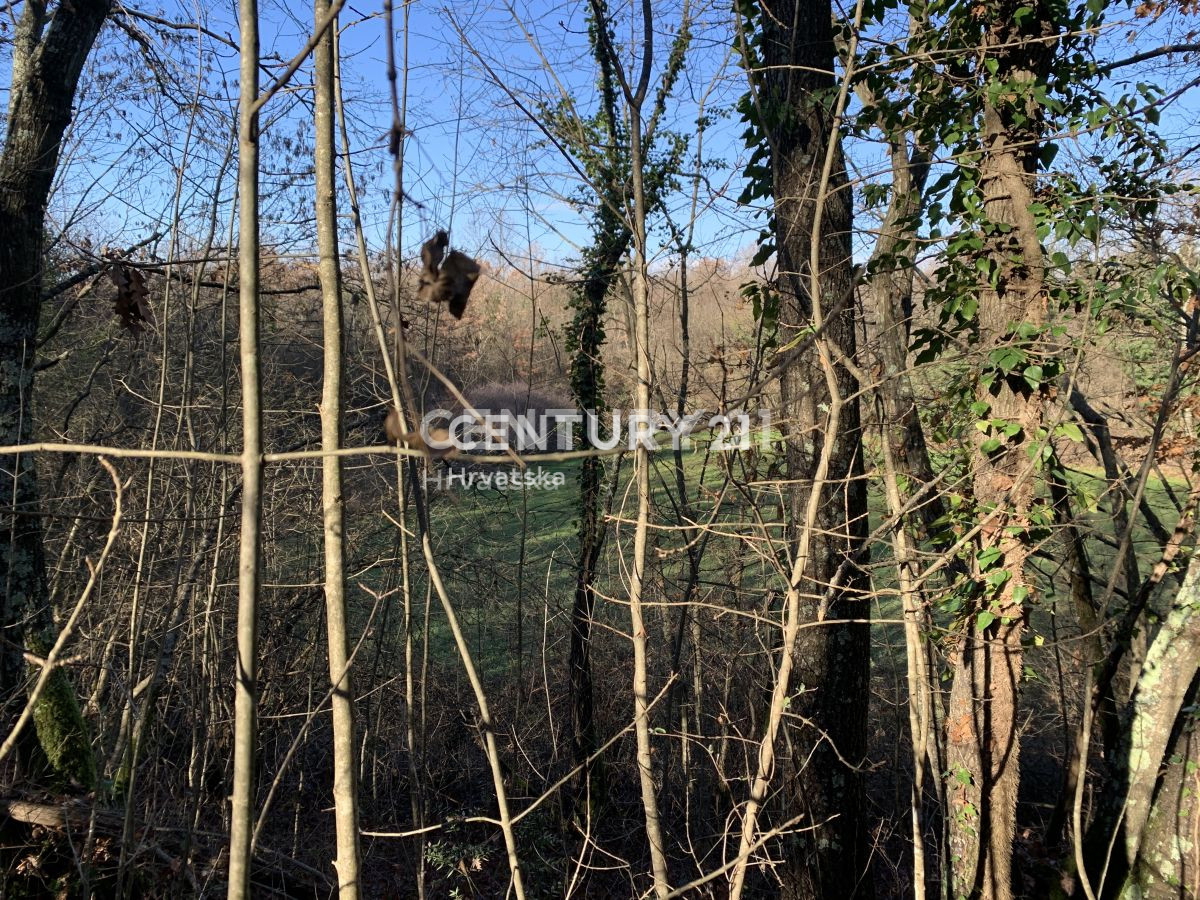 SVETI LOVREČ PAZENATIČKI