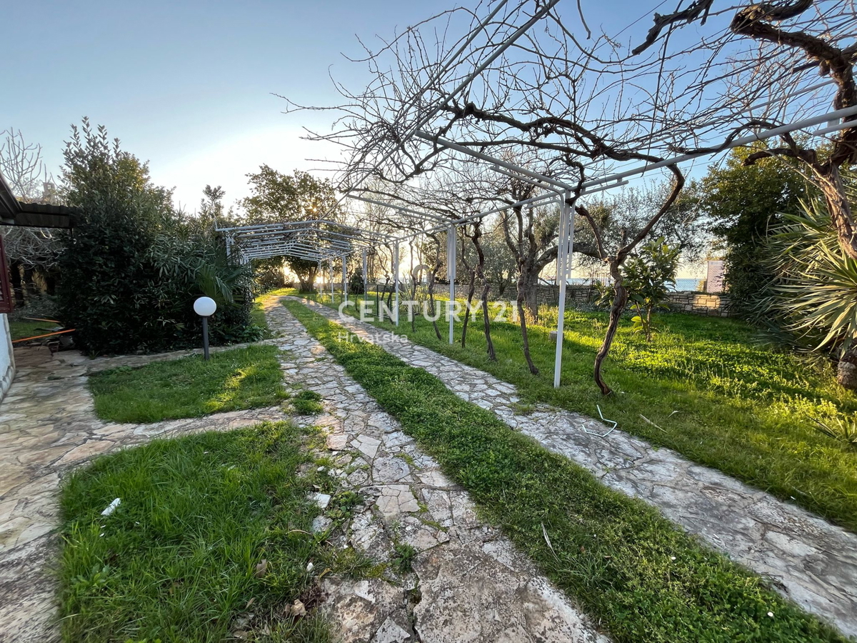 UMAG