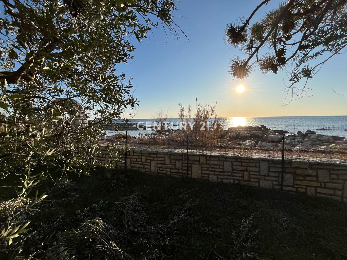 UMAG