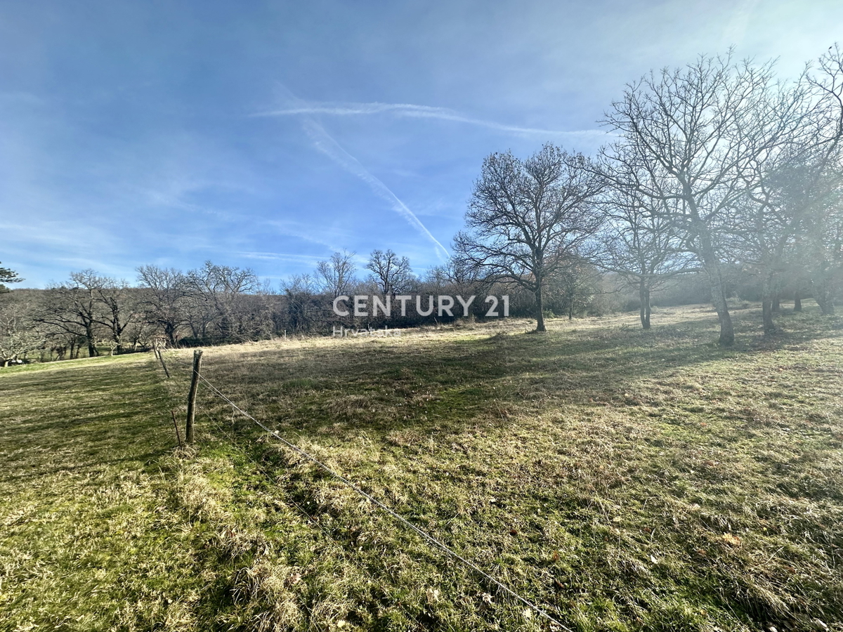 image 50
