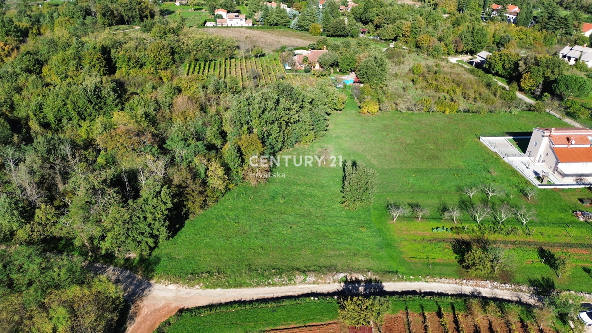 MOTOVUN