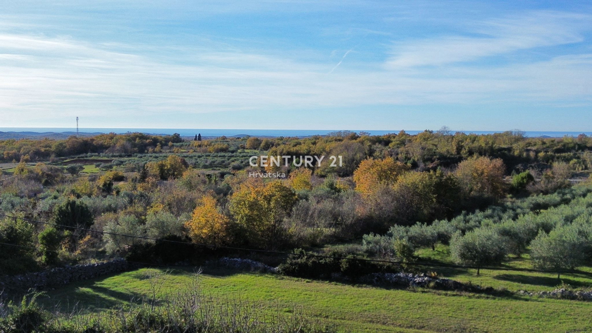 SVETI LOVREČ PAZENATIČKI