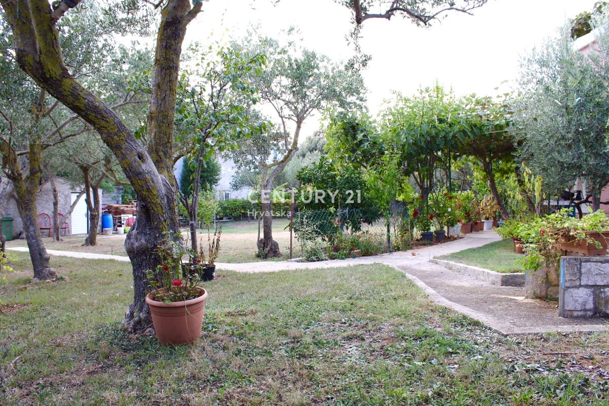 BIBINJE