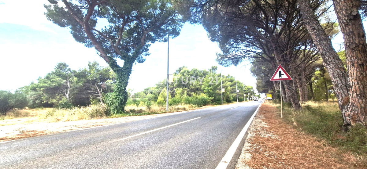 BIOGRAD NA MORU