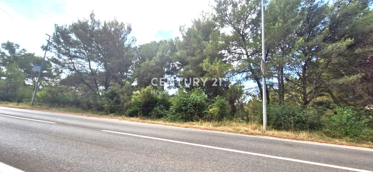 BIOGRAD NA MORU