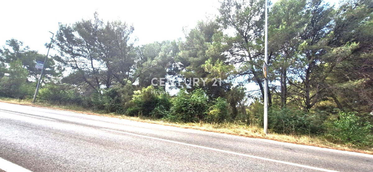 BIOGRAD NA MORU