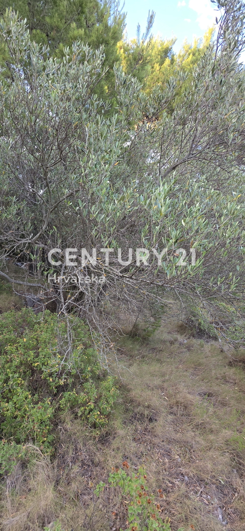 image 25