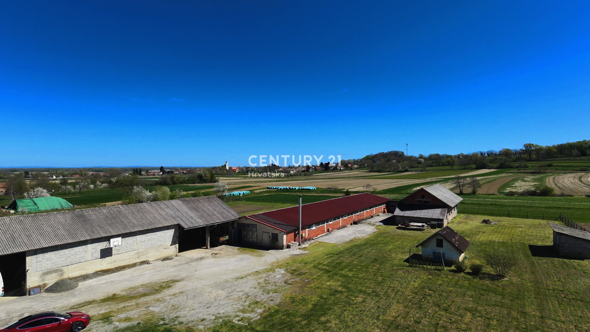 IMBRIOVEC JALŽABETSKI