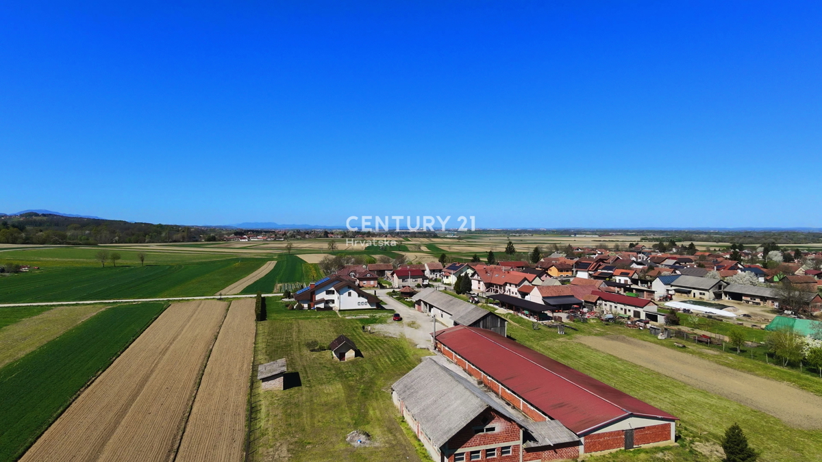 IMBRIOVEC JALŽABETSKI