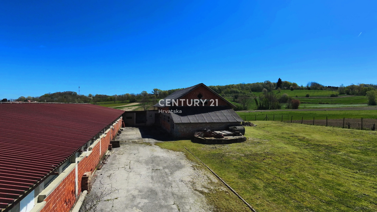 IMBRIOVEC JALŽABETSKI