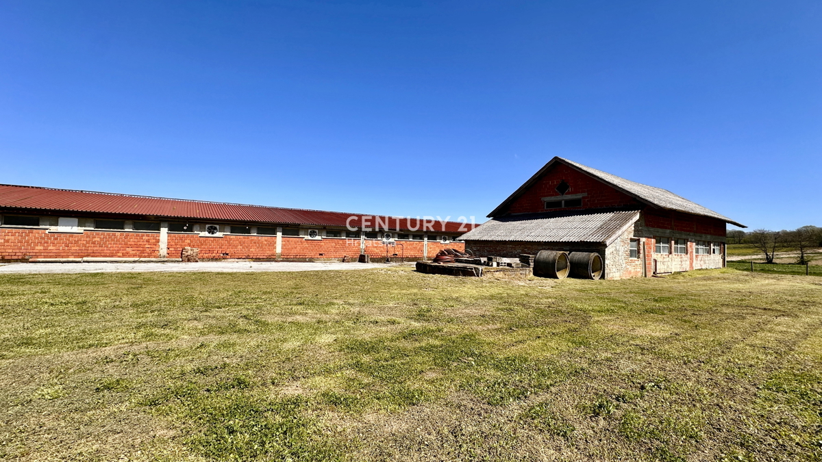 IMBRIOVEC JALŽABETSKI