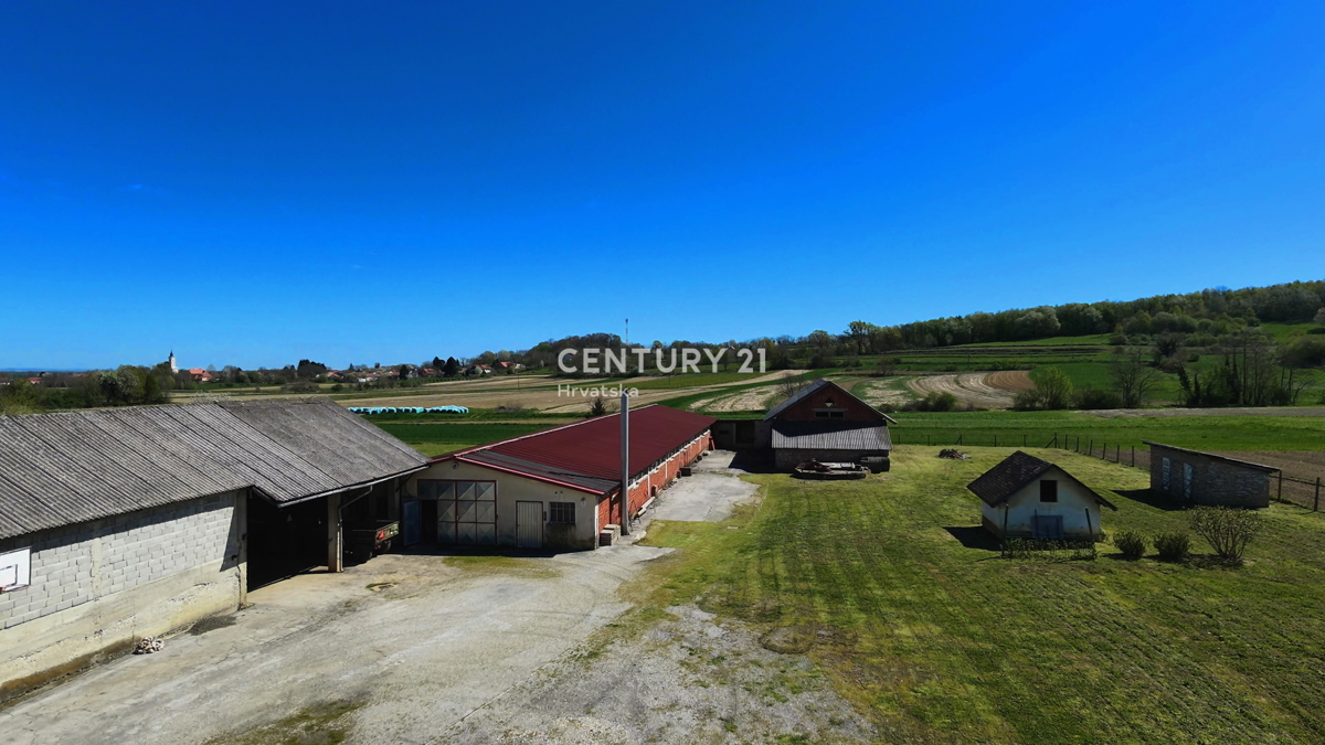 IMBRIOVEC JALŽABETSKI