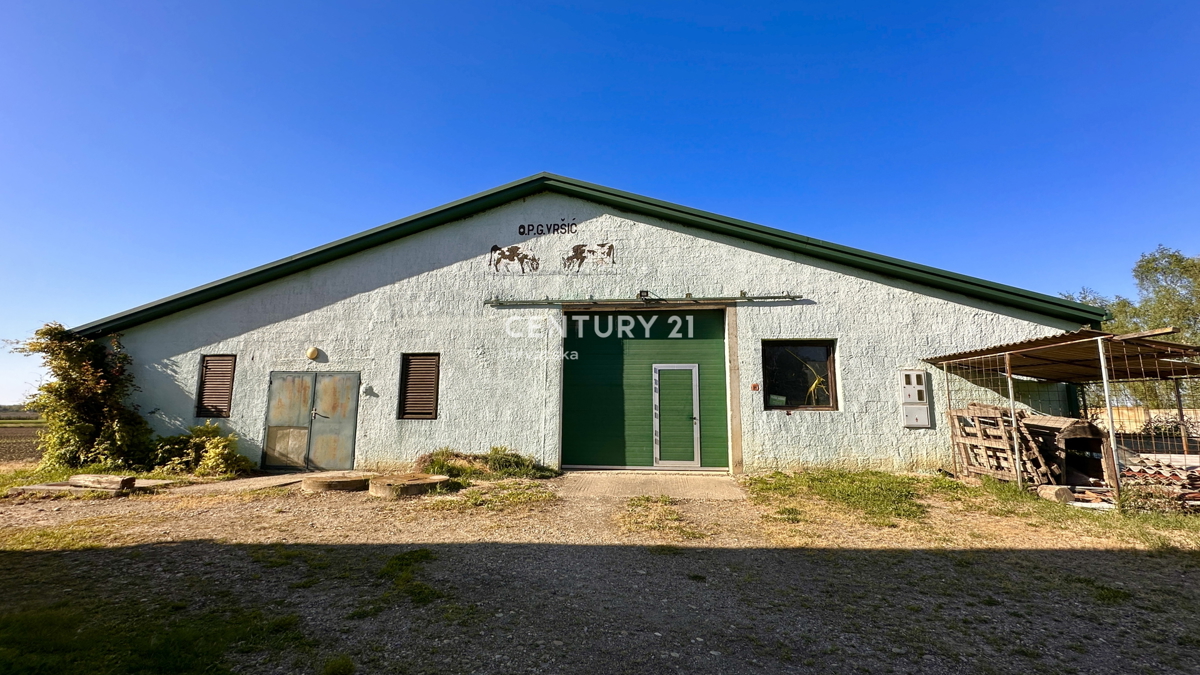 image 14
