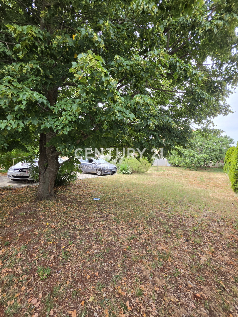 image 17