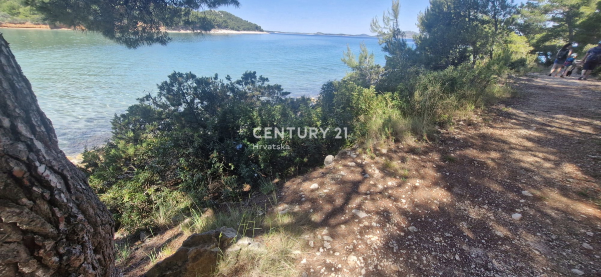 image 15