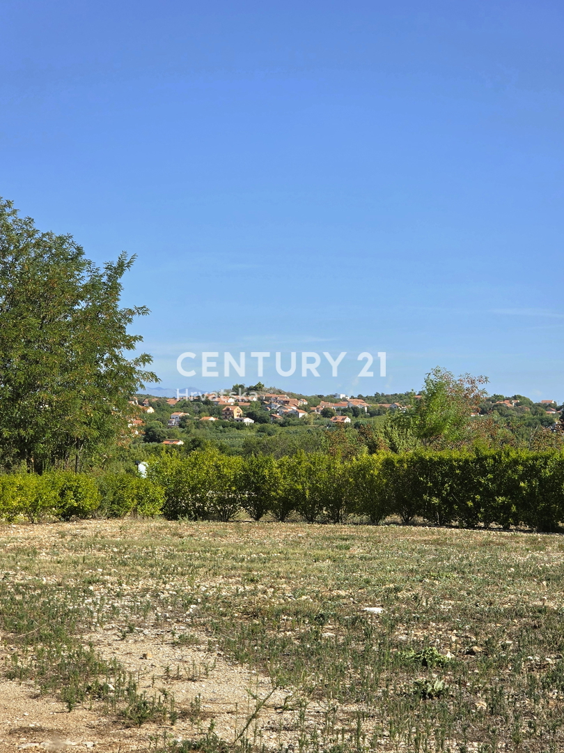 image 13